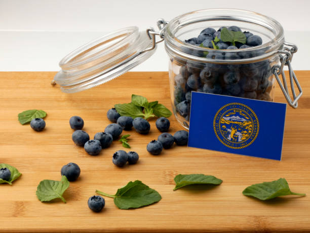 istock Nebraska flag on a wooden plank with blueberries isolated on white 842848060