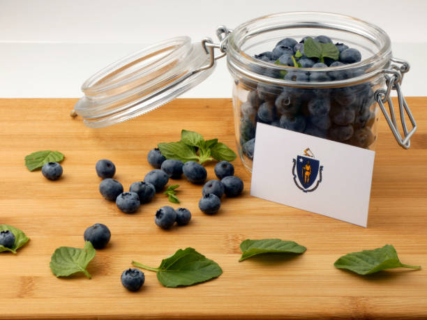 istock Massachusetts flag on a wooden plank with blueberries isolated on white 842848156