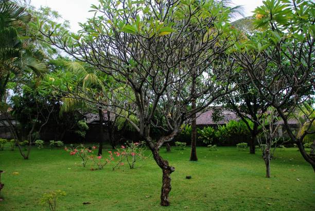 istock bali countryside, indonesia 842848468
