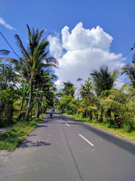 istock bali countryside, indonesia 842848562
