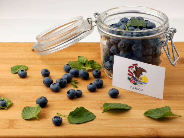 istock Illinois flag on a wooden plank with blueberries isolated on white 842848922