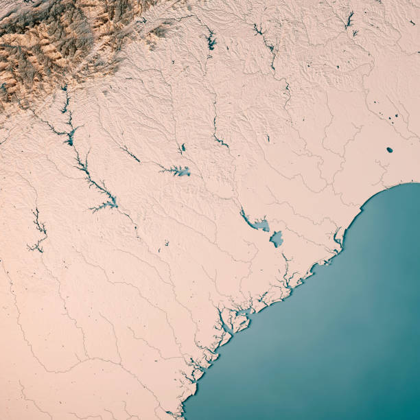 istock South Carolina State USA 3D Render Topographic Map Neutral 842849234