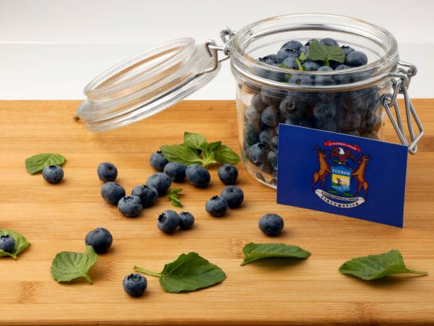 istock Michigan flag on a wooden plank with blueberries isolated on white 842850006