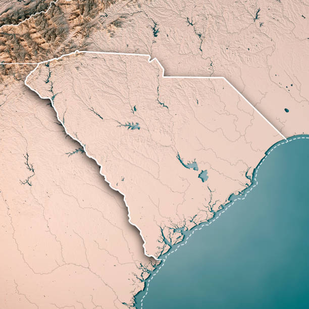 istock South Carolina State USA 3D Render Topographic Map Neutral Border 842852334