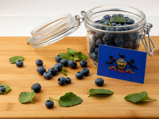 istock Pennsylvania flag on a wooden plank with blueberries isolated on white 842852684