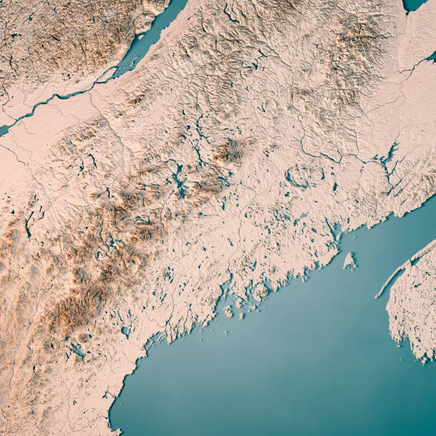 istock Maine State USA 3D Render Topographic Map Neutral 842853334