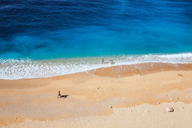 istock People on the beach near the sea 842853496