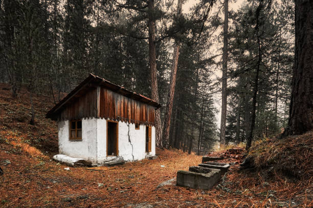 abandoned cottage in forest - forest hut window autumn imagens e fotografias de stock