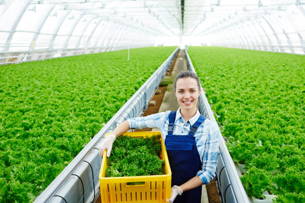istock Worker of greenhouse 842858894