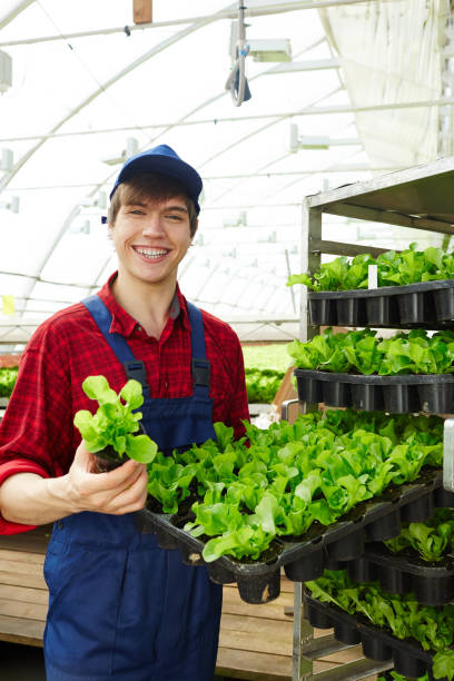 istock Worker of greenhouse 842858978