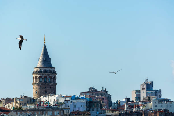 istock Galata Tower in Istanbul Turkey 842861214