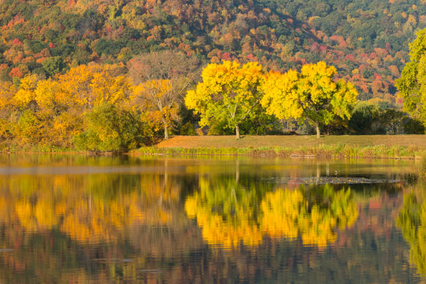 lac winona en automne - winona photos et images de collection