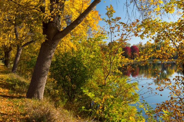 lac winona en automne - winona photos et images de collection