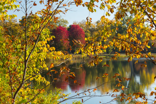 lac winona en automne - winona photos et images de collection