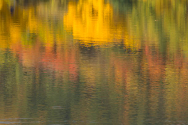 automne lac reflections - winona photos et images de collection