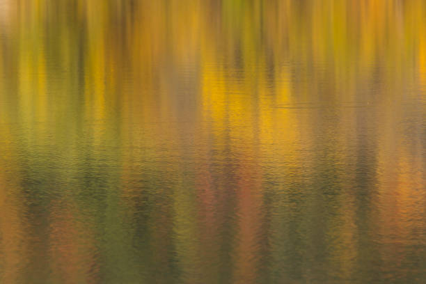 automne lac reflections - winona photos et images de collection