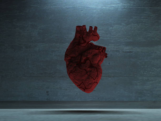 istock Heart of stone 842866304