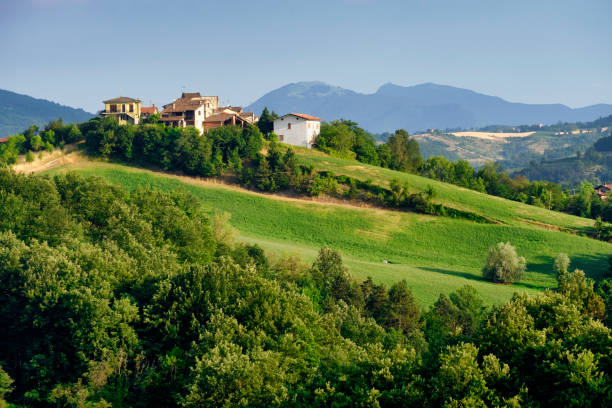 istock Oltrepo Pavese (Italy), rural landscape at summer 842874138