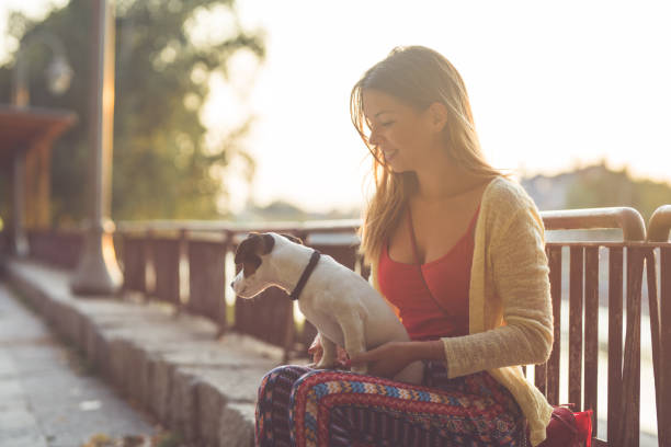 istock Young adult and her jack russel puppy 842874892