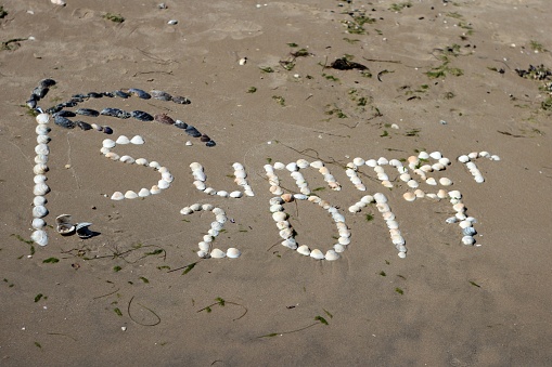 inscription summer with sea shells on a background