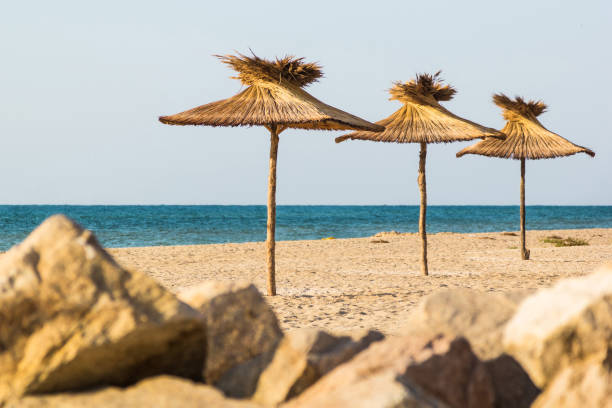 istock Straw umbrellas from the sun on the beach. 842883732