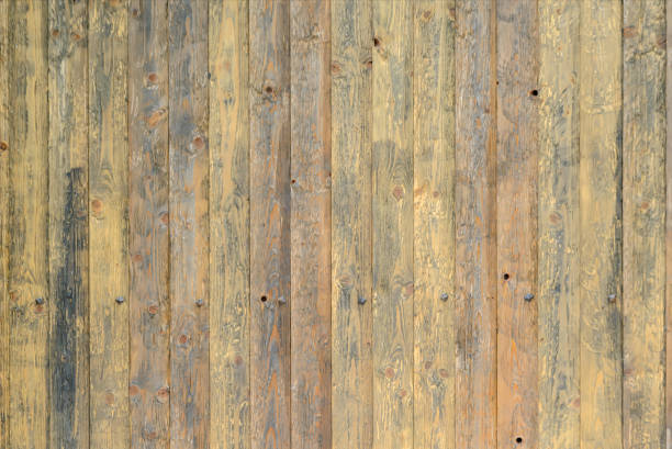 istock Background texture of old wooden planks knocked vertically. 842883966
