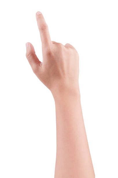 istock Female hand pressing touchscreen or pointing to something 842898126