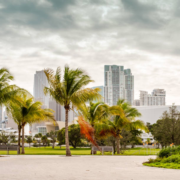 istock view on downtown Miami in a clouy and windy day. 842903806