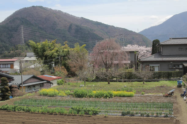 istock countryside at YAMANASHI at2016 842907722