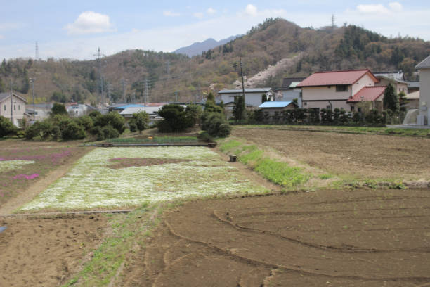 istock countryside japan Fujikyuko Line at  2016 842907994