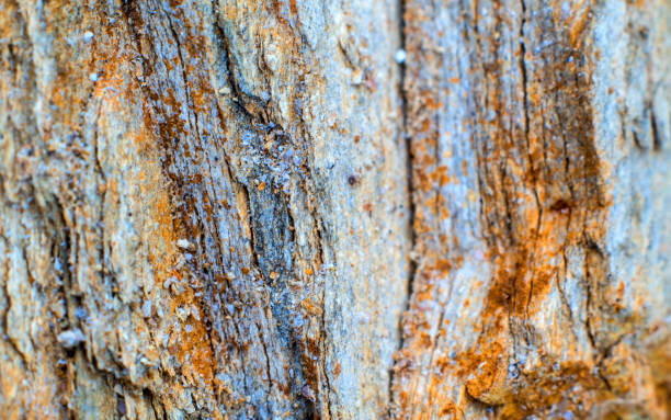 istock Texture of stone surface at the rocky mountain 842910868