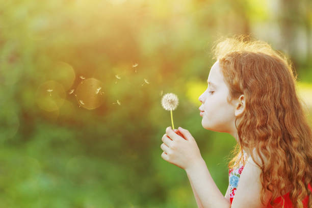 istock Little girl blowing dandelion in spring park. 842921286