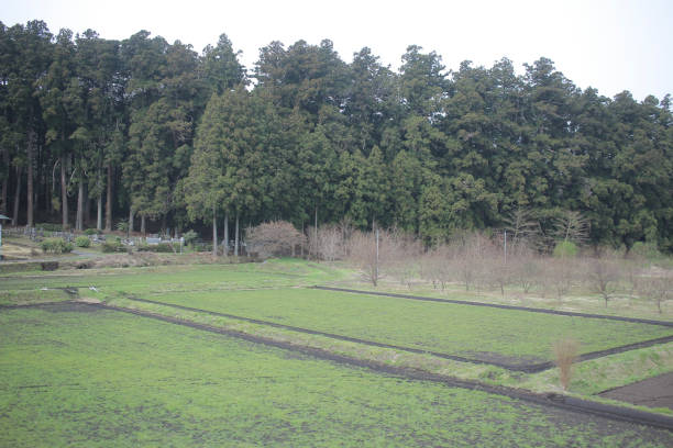 istock view of countryside by train 842921794