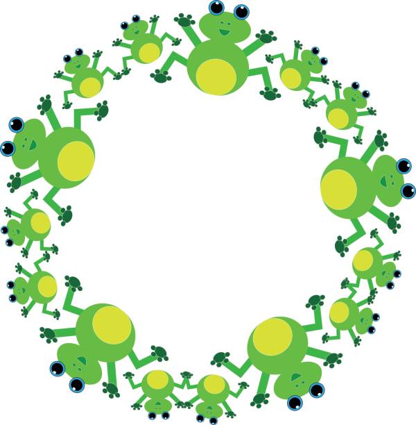 ilustrações de stock, clip art, desenhos animados e ícones de frogs in ring on awhite background. vector illustration. - white background close up frog amphibian