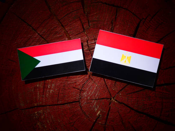 bandeira do sudão com bandeira egípcia em um toco de árvore isolada - republic of the sudan - fotografias e filmes do acervo