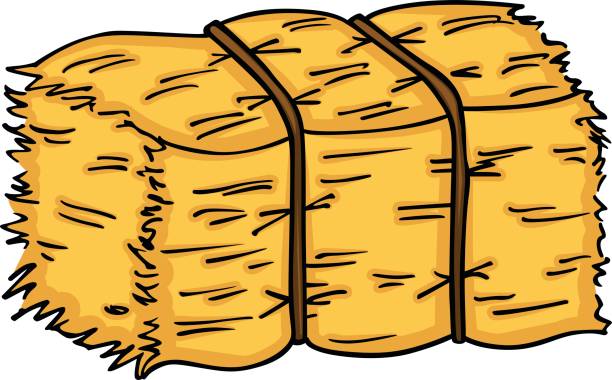 Bale of hay Scalable vectorial image representing a bale of hay, isolated on white. bale stock illustrations