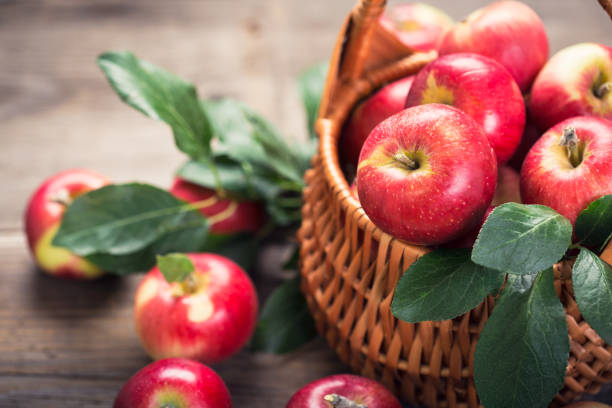 istock Fresh red apples in the basket 842925738