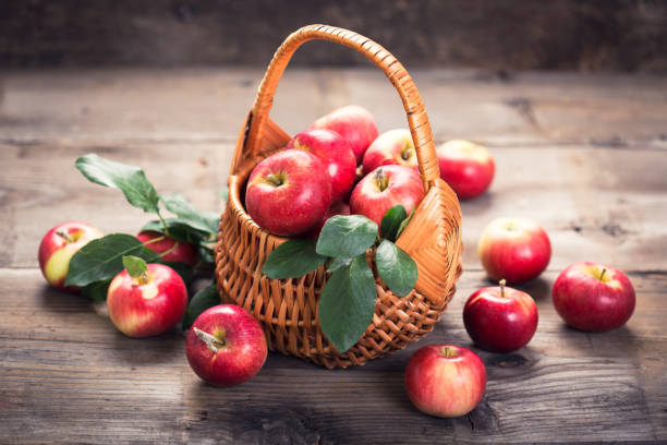 istock Fresh red apples in the basket 842925742