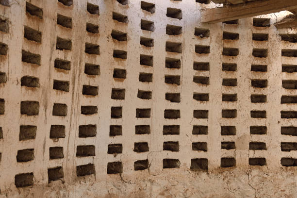 detalle de un antiguo palomar en villaviudas, tierra de campos, provincia de palencia, castilla y león, españa - palencia province fotografías e imágenes de stock