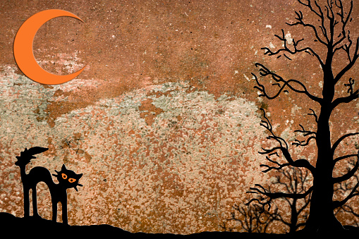 Halloween holiday background in orange, brown, black hues.  A black cat and several silhouette trees at sides with orange crescent moon on textured background. Copyspace in center.