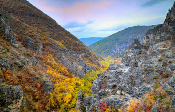 istock Mountain landscape with colorful autumn forest 842928800