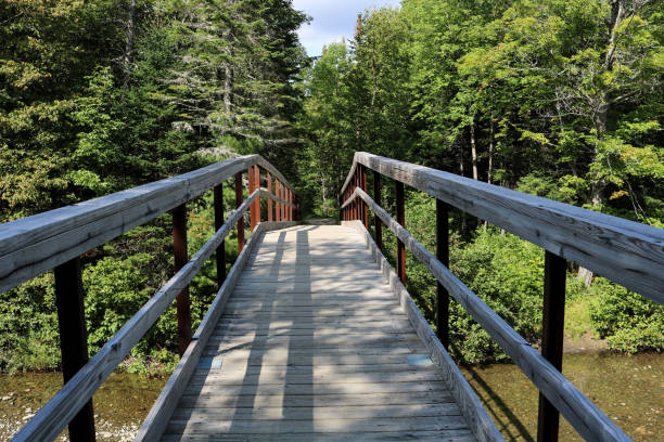 istock A Bike Trail Wooden Bridge 842928910