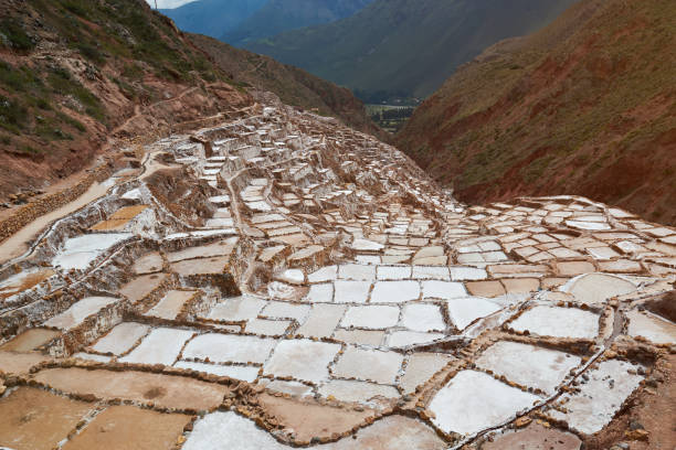 istock Panorama of brown pools with salt water 842933164