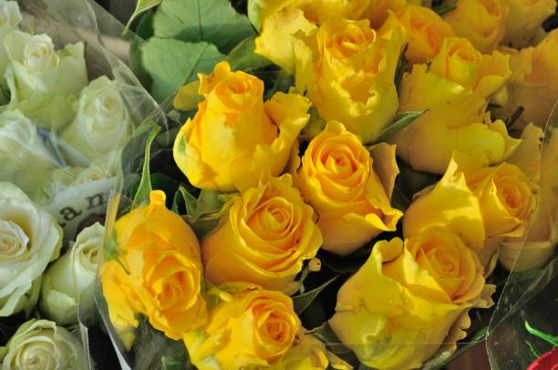 istock A colourful display of roses outside a  florist. 842937232