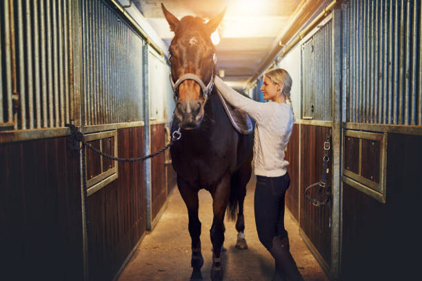 istock Woman standing with her horse in stables before a ride 842940678