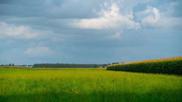 istock green field and blue sky. 842940884