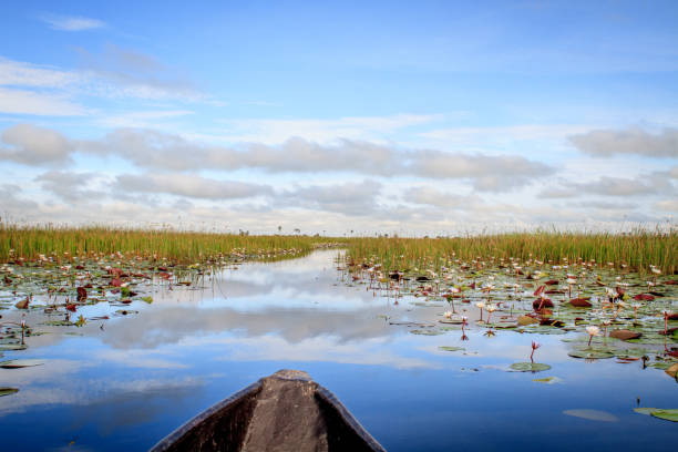 istock Mokoro boat trip in the Okavango Delta. 842941914