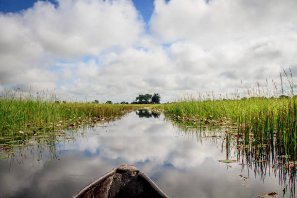 istock Mokoro boat trip in the Okavango Delta. 842942026