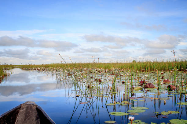 istock Mokoro boat trip in the Okavango Delta. 842944408