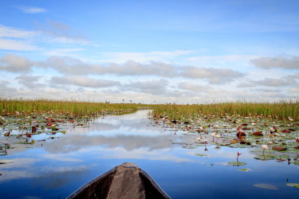 istock Mokoro boat trip in the Okavango Delta. 842944430